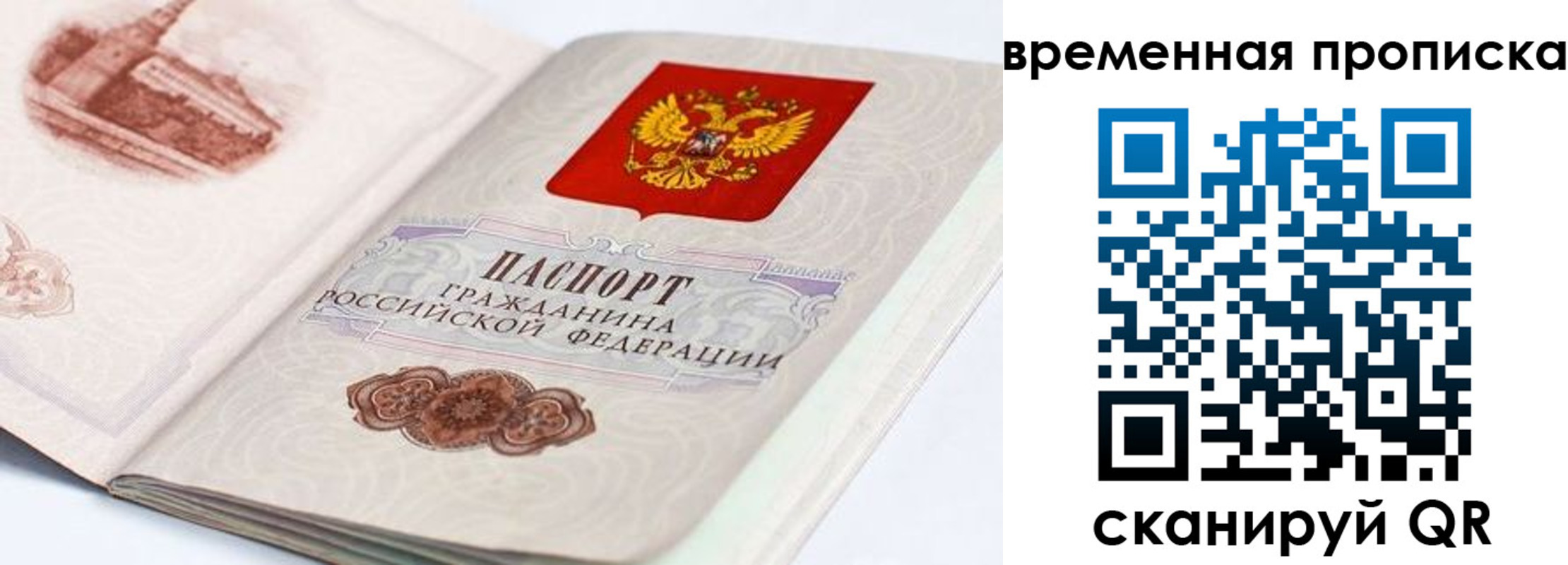 прописка 2025 в Юрьев-Польском
